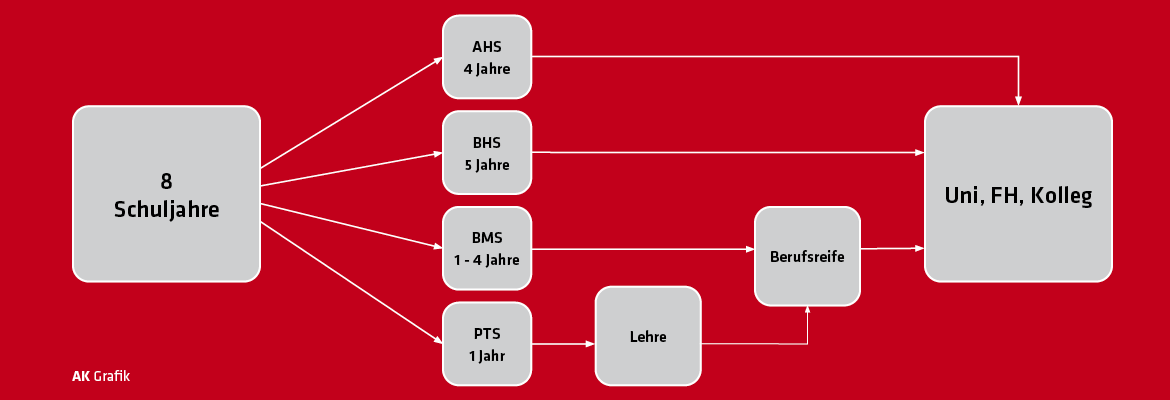Grafik mit verschiedenen Schultypen